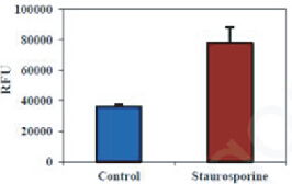 BBI細胞組學產品秋冬促銷火熱開啟，放開價勢無需再等
